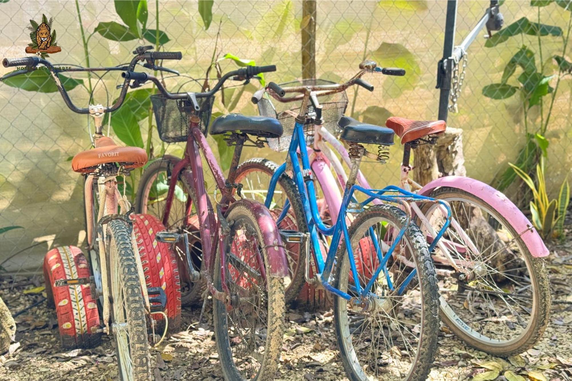 Hotel Selva Bacalar - Free Bike Rental 外观 照片