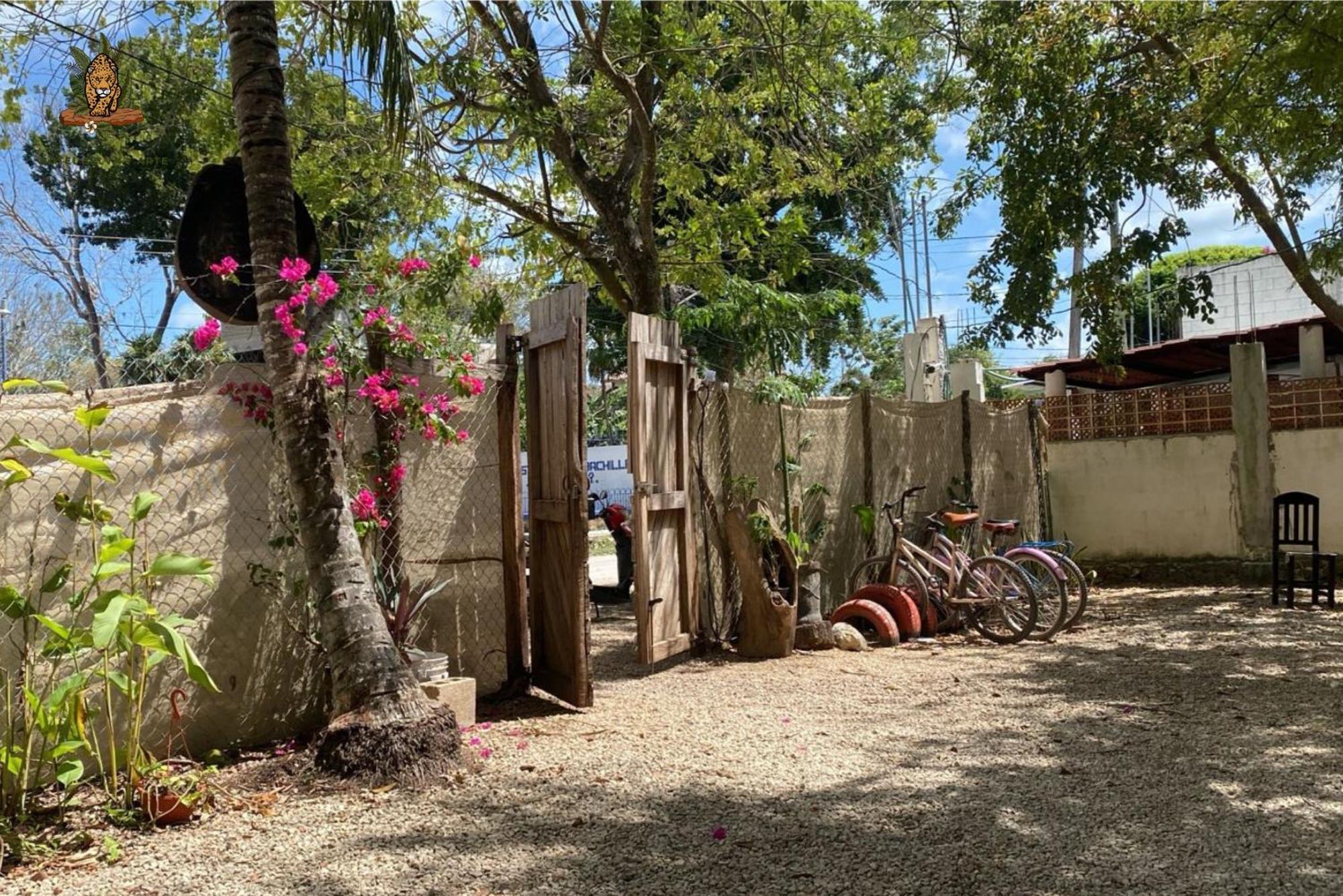 Hotel Selva Bacalar - Free Bike Rental 外观 照片